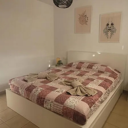 Discover The North Of The Island Of Tenerife * לה לגונה