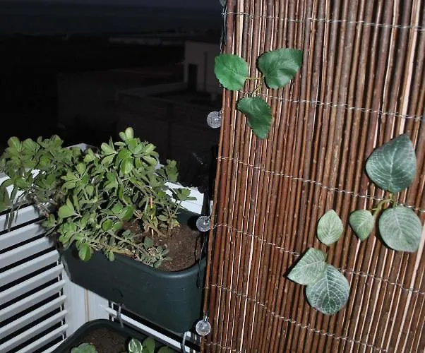 Appartement Discover The North Of The Island Of Tenerife *